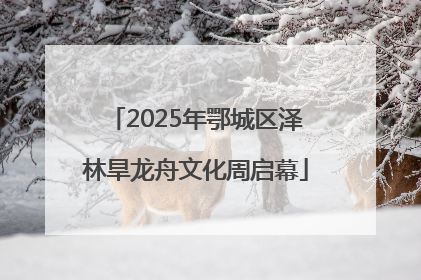 2025年鄂城区泽林旱龙舟文化周启幕