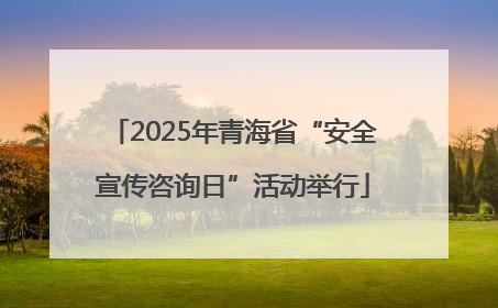 2025年青海省“安全宣传咨询日”活动举行