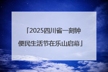 2025四川省一刻钟便民生活节在乐山启幕