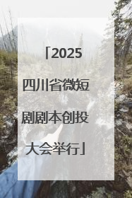 2025四川省微短剧剧本创投大会举行