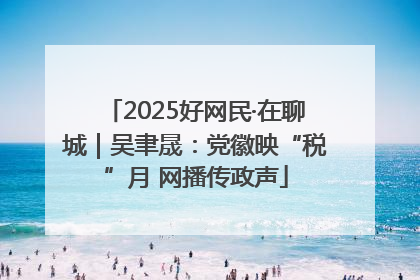 2025好网民·在聊城｜吴聿晟：党徽映“税”月 网播传政声
