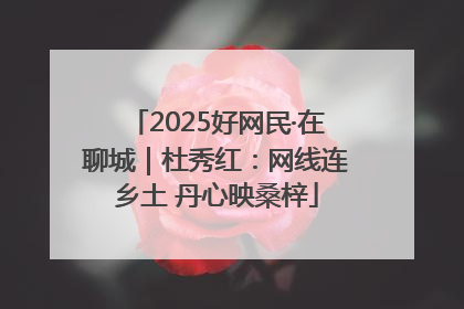 2025好网民·在聊城｜杜秀红：网线连乡土 丹心映桑梓