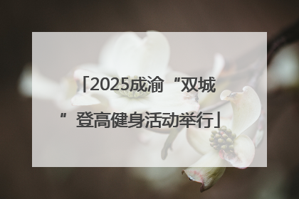 2025成渝“双城”登高健身活动举行
