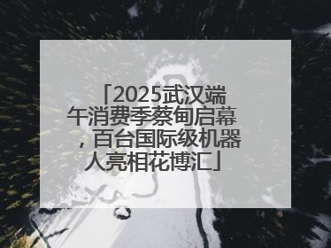 2025武汉端午消费季蔡甸启幕，百台国际级机器人亮相花博汇