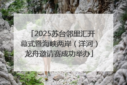 2025苏台邻里汇开幕式暨海峡两岸（洋河）龙舟邀请赛成功举办