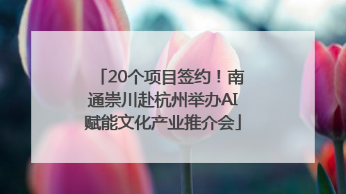 20个项目签约！南通崇川赴杭州举办AI赋能文化产业推介会