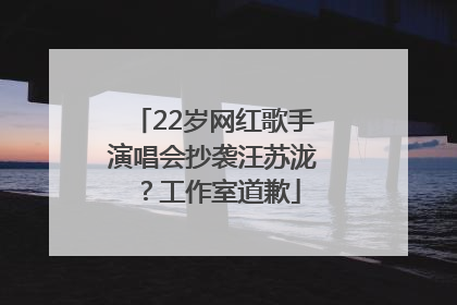 22岁网红歌手演唱会抄袭汪苏泷？工作室道歉