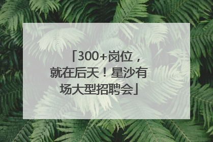 300+岗位，就在后天！星沙有场大型招聘会