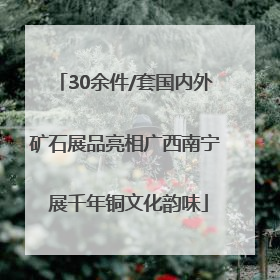 30余件/套国内外矿石展品亮相广西南宁 展千年铜文化韵味