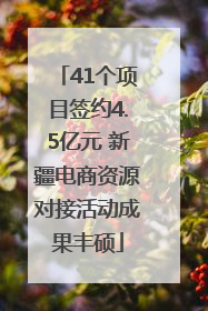 41个项目签约4.5亿元 新疆电商资源对接活动成果丰硕