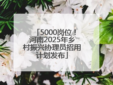 5000岗位！河南2025年乡村振兴协理员招用计划发布