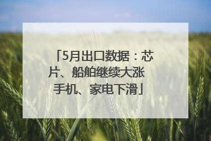 5月出口数据：芯片、船舶继续大涨 手机、家电下滑