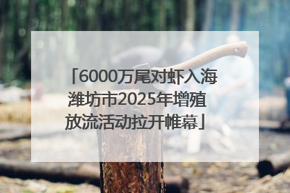 6000万尾对虾入海 潍坊市2025年增殖放流活动拉开帷幕