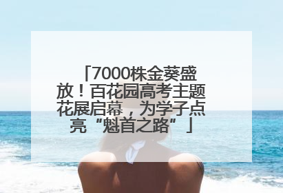 7000株金葵盛放！百花园高考主题花展启幕，为学子点亮“魁首之路”