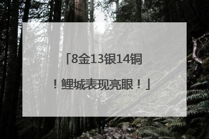 8金13银14铜！鲤城表现亮眼！