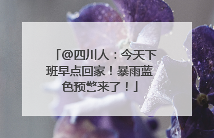 @四川人：今天下班早点回家！暴雨蓝色预警来了！