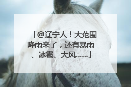 @辽宁人！大范围降雨来了，还有暴雨、冰雹、大风……