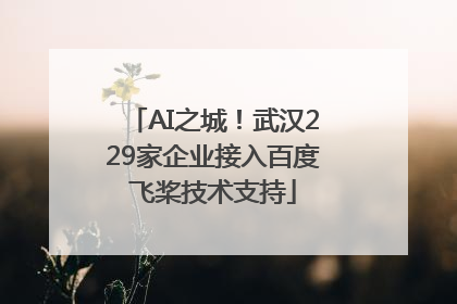 AI之城！武汉229家企业接入百度飞桨技术支持