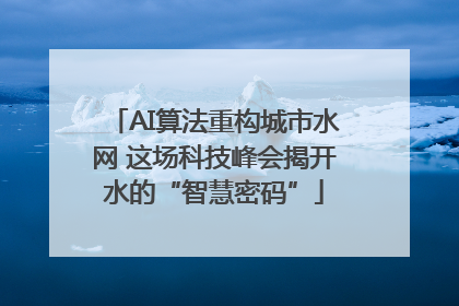 AI算法重构城市水网 这场科技峰会揭开水的“智慧密码”