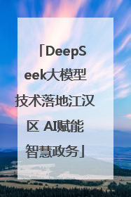 DeepSeek大模型技术落地江汉区 AI赋能智慧政务