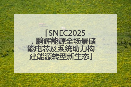 SNEC2025，鹏辉能源全场景储能电芯及系统助力构建能源转型新生态